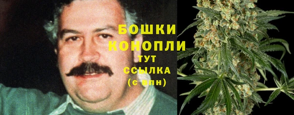 стафф Янаул