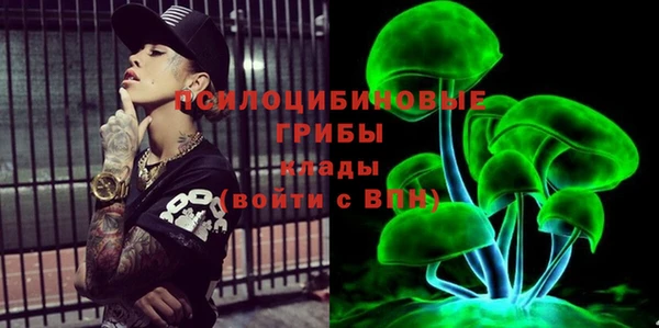 a pvp Яровое