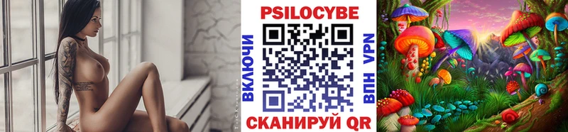 shop формула  Белово  Псилоцибиновые грибы GOLDEN TEACHER 