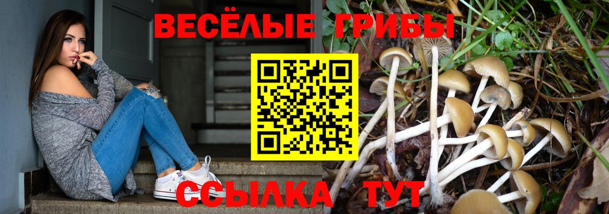 Гашиш  Вход с VPN  Продажа наркотиков  Cocaine  Метамфетамин  НБОМе  МДМА  МАРИХУАНА  Белово  Меф МЯУ МЯУ  Гашиш  Меф МЯУ МЯУ кристаллы 