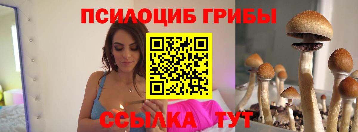 Галлюциногенные грибы прущие грибы Белово