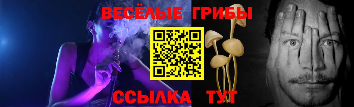 Белово  Галлюциногенные грибы MAGIC MUSHROOMS  Вход с VPN 